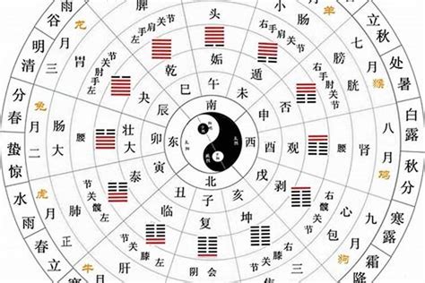 農曆月份五行|【農曆月份五行】掌握農曆月份五行屬性，讓你心想事成、好運連。